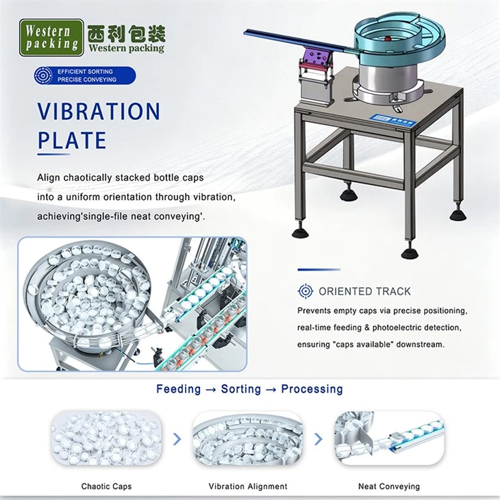 Granular Filling Machine factory